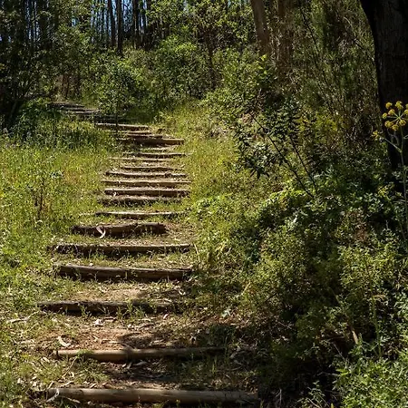 Muxima - 게스트하우스 알제주르