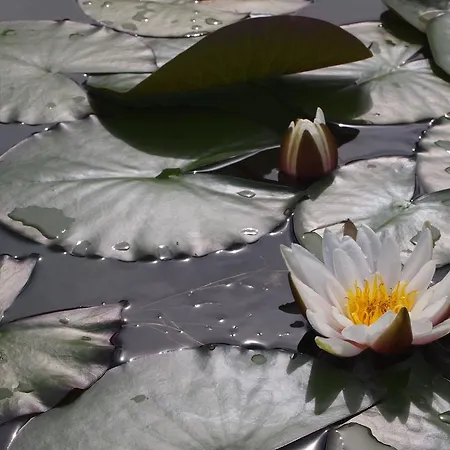 Muxima - Pensionat Aljezur