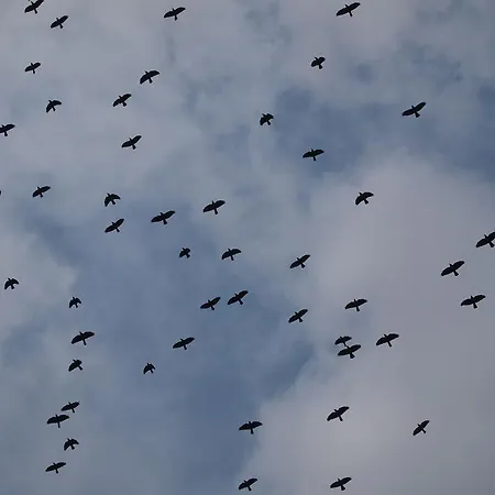 Muxima - 게스트하우스 4*